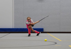 Pro Indoor Dagen Introductie afbeelding 5 Pro Indoor Dagen Introductie afbeelding 5